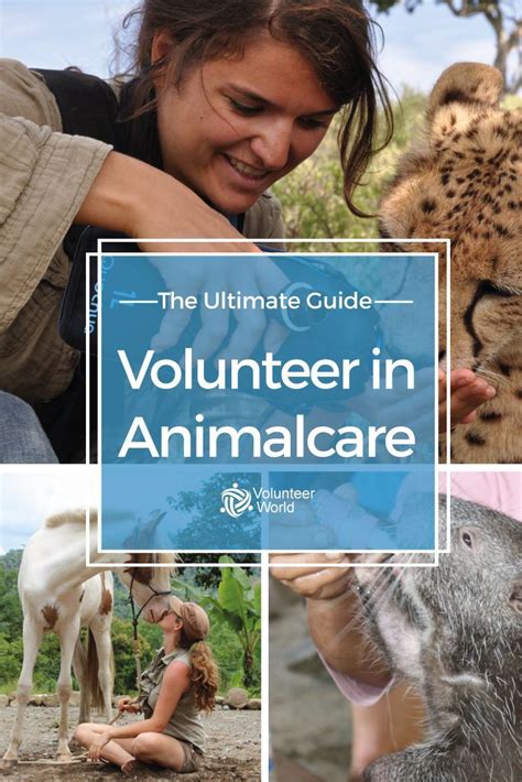 animal volunteering abroad|voluntary work with animals worldwide.